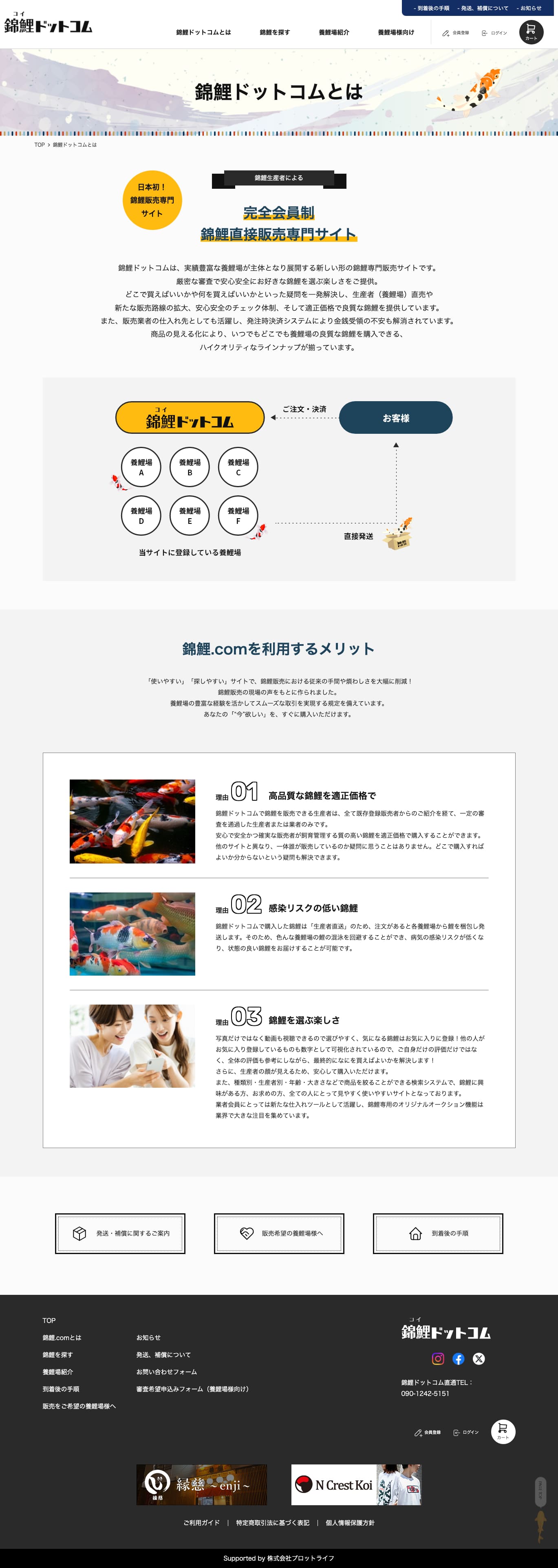 錦鯉ドットコム様