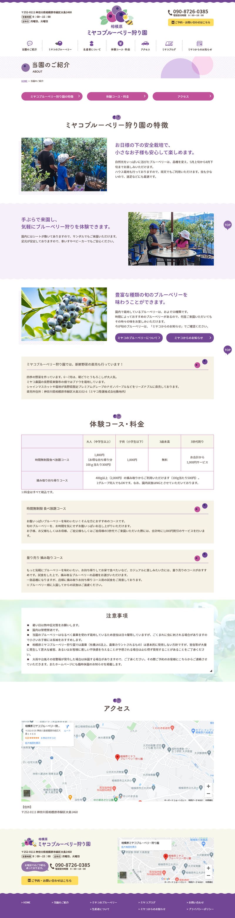 ミヤコブルーベリー狩り園様